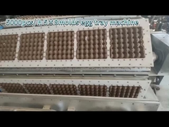 yumurta tepsisi üretim hattı