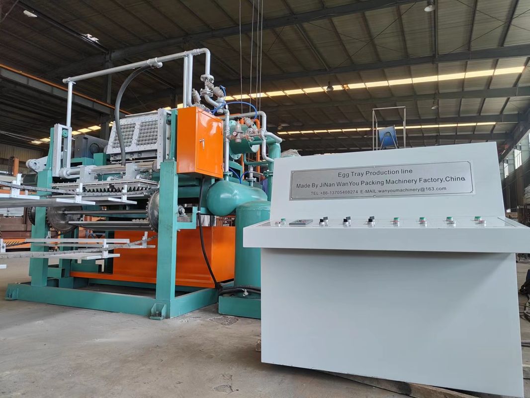 220V / 380V / 415V PLC Kontrollü Yumurta Tepsisi Yapma Makinesi Vakum Şekillendirme Güneşte Kurutma