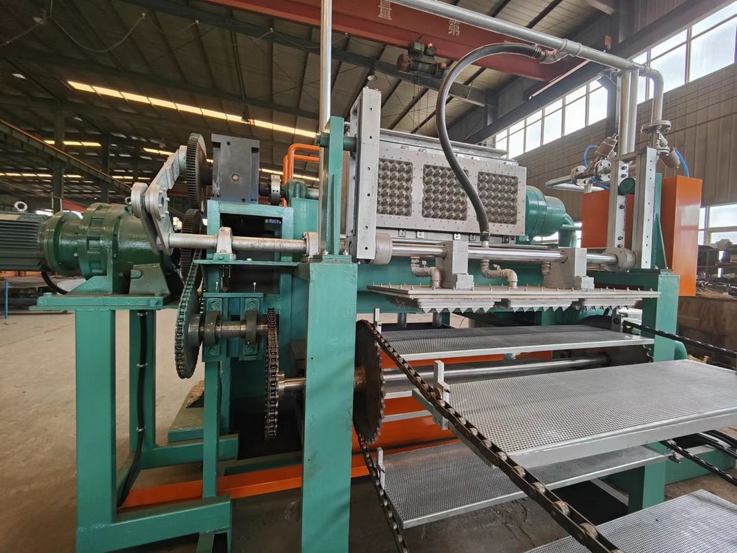 220V / 380V / 415V PLC Kontrollü Yumurta Tepsisi Yapma Makinesi Vakum Şekillendirme Güneşte Kurutma