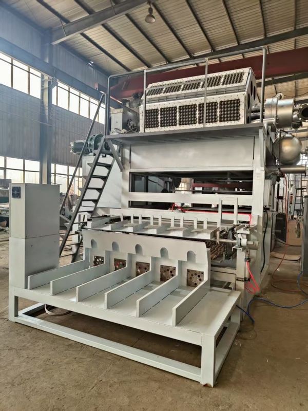 Tam Otomatik Kağıt Hamuru Kalıplama Makinesi Kağıt Yumurta Tepsisi Makinesi Üretim Hattı PLC Kontrollü Büyük Kapasiteli 5*8 Kalıp Döner Şekillendirme