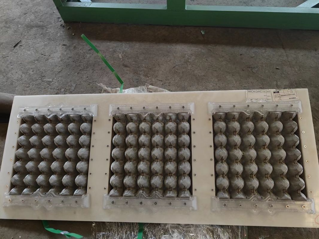3×4 Döner Yumurta Tepsisi Makinesi. 2000 PCS/H Sabit Çıktı, Yeni Başlayan İşletmeler için Özel