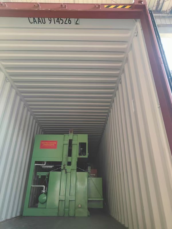 2 kalıp 700pcs/h Özel Kalıplar Kağıt Yumurta Tepsisi Makine Az Enerjili Pulp Kalıplama Makine