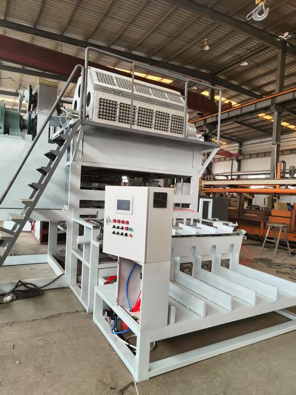 Geri Dönüşümlü Malzemeler Kullanan ve Gübrelenebilir Paketleme Çözümleri Üreten Çevre Dostu Yumurta Tepsisi Üretim Hattı 4000-5000pcs / h PLC Kontrollü Yumurta Tepsisi Makinesi