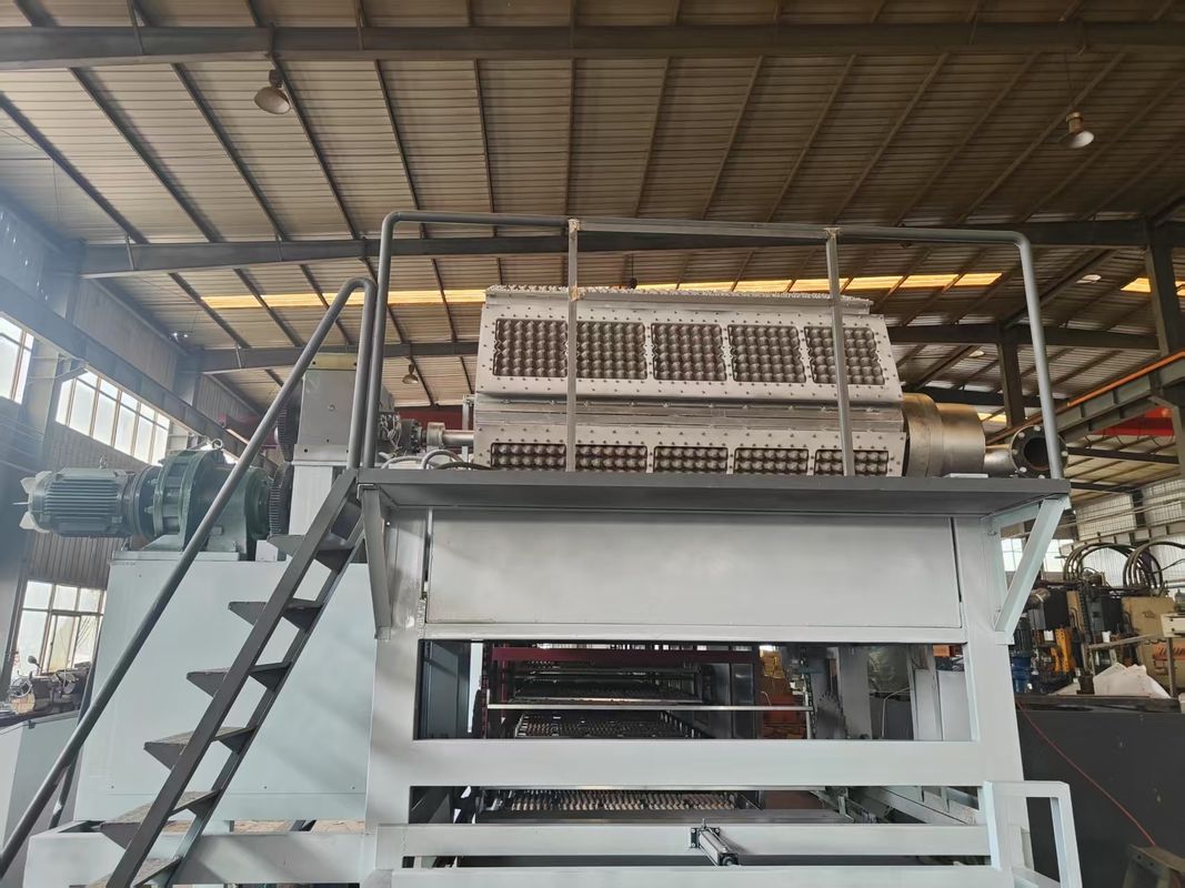 5*8 Kalıp Büyük Kapasite Tam Otomatik Yumurta Tepsisi Ambalajlama Makinesi / Pulp Kalıplama Ekipmanı / Yumurta Tepsisi Üretim Liniyası PLC Kontrol Dokunmatik Ekran Paneli ile
