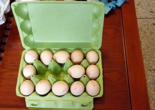 Kağıt Yumurta Tepsisi Makinesi Küçük Kapasite Konforlu Kurulum Yumurta Tepsisi Yumurta Karton Yapımı Üretim Hatı