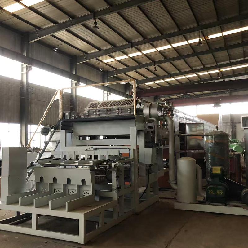 WANYOU Otomatik Geri Dönüştürülmüş Kağıt Yumurta Tepsisi Pulp Kalıplama Makinesi PLC Kontrol Dokunmatik Ekran Paneli 380V