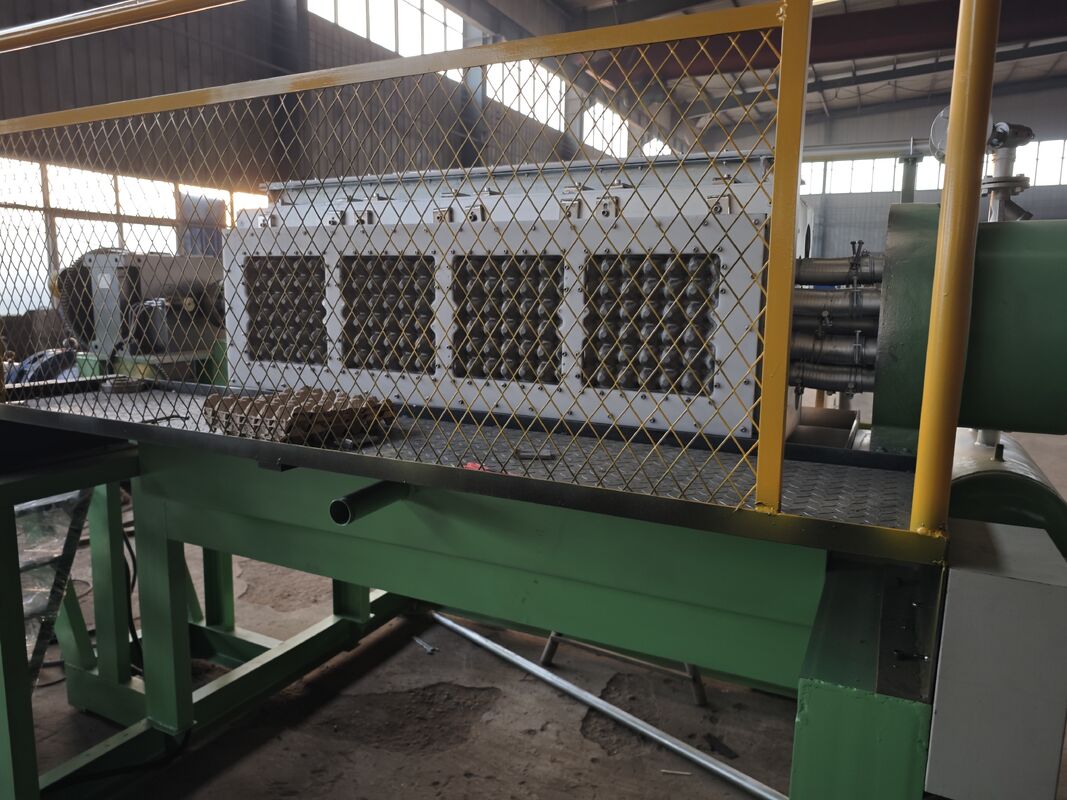 2000-3000PCS/H Döner Yumurta Tepsisi Makinesi.