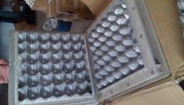 Yumurta kartonları / elma tepsileri için döner kağıt tepsisi üretim hattı 4000pcs/h