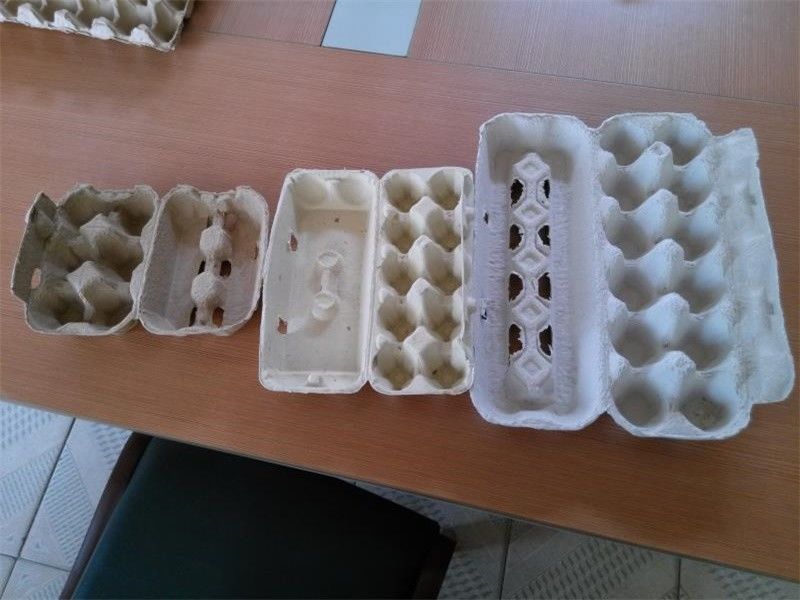 Dönüşümlü Tip Yumurta Tepsisi Üretim Hatı Pulp Kalıplama Makinesi Küçük Kapasite