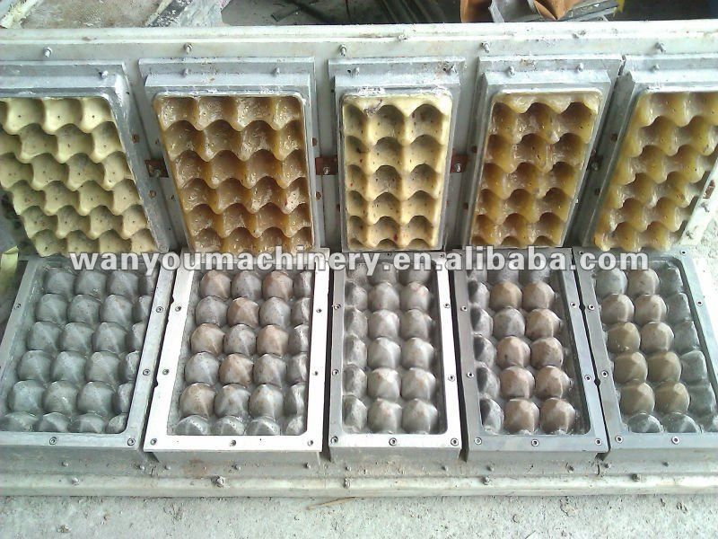 2 Kalıplar Kağıt Pulp Yumurta Tepsisi Yapma Makinesi Karşılıklı Tip Kolay Çalıştır