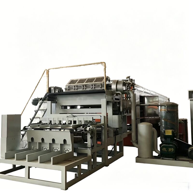2000-3000PCS/H Döner Yumurta Tepsisi Makinesi.