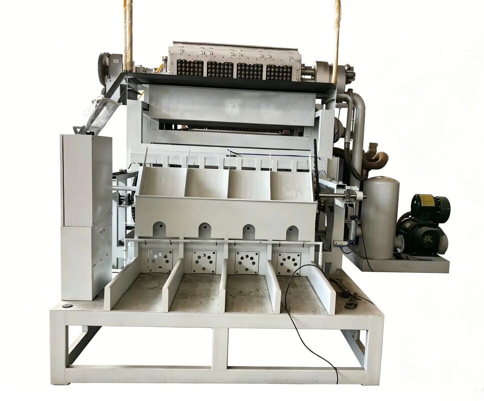 2000-3000pcs/h Kağıt Yumurta Tepsisi Yapma Makinesi 3x4 Kalıplar 4*4 Kalıplar Yumurta Tepsisi Makinesi