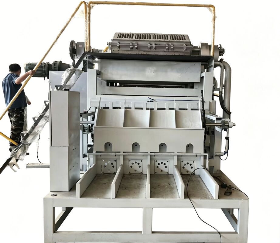 2000-3000PCS/H Döner Yumurta Tepsisi Makinesi Orta Ölçekli Ticari Üretim Çözümü Yumurta Tepsisi Üretim hattı