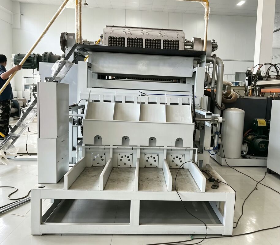 2000-3000PCS/H Döner Yumurta Tepsisi Makinesi Orta Ölçekli Ticari Üretim Çözümü Yumurta Tepsisi Üretim hattı