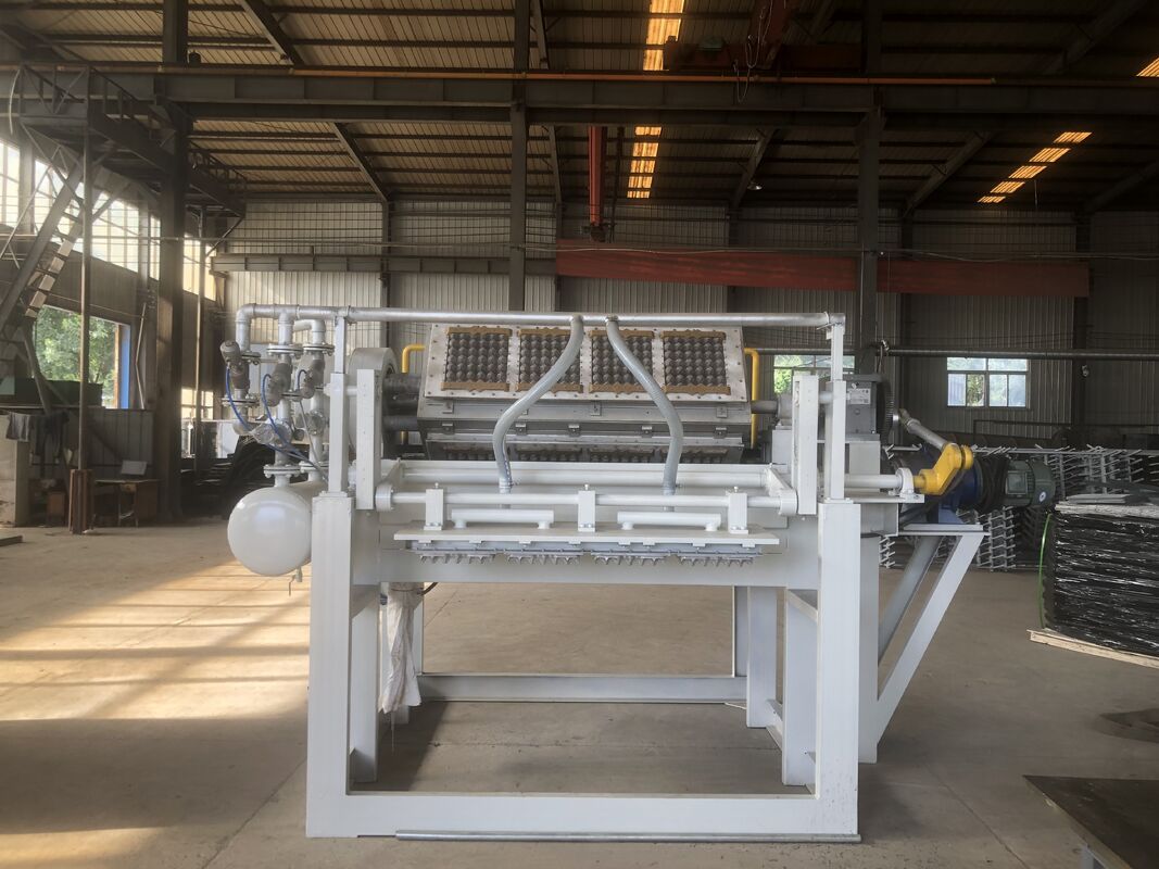 2500-3000 Pcs/h Rotary Paper Egg Tray Machine Recycled Paper Pulp Molding Machine PLC Controlled 80/120KW