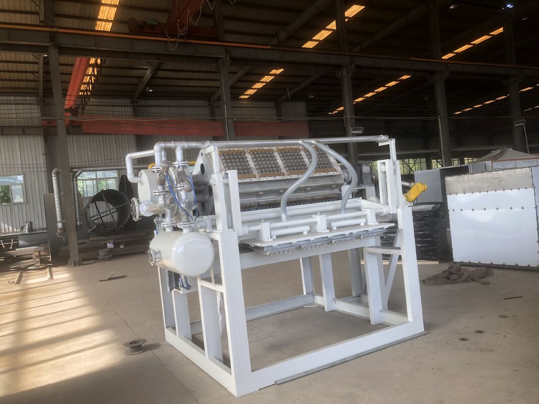  Rotary Paper Egg Tray Machine Egg Carton Production Line 2500-3000 Pcs/h Recycled Paper Pulp Molding Machine