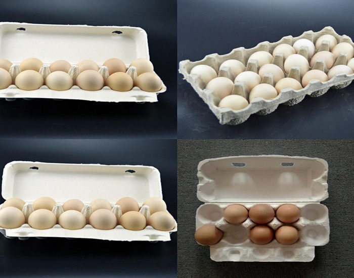 Saatte 700pcs-1500pcs Kağıt Hamuru Kalıplama Yumurta Tepsisi Makinesi Yumurta Karton Kutu Şişe Tepsisi Yapma Makinesi