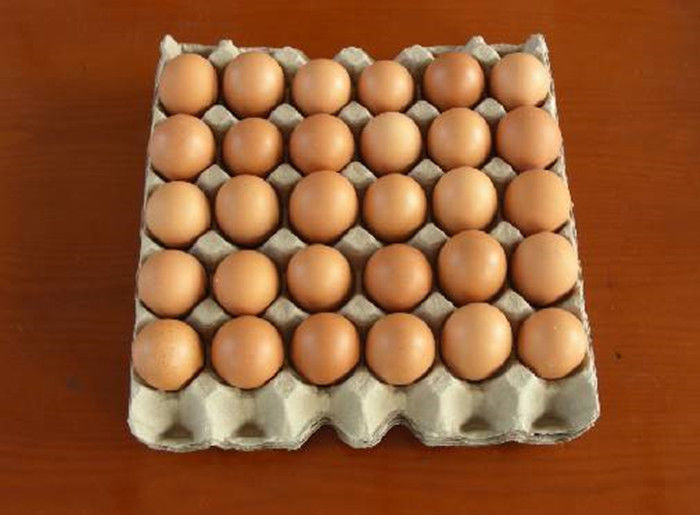 Yumurta Tepsisi / Elma Tepsisi / Yumurta Karton Yapma Makinesi 350pcs/h -1300pcs/h Kapasite
