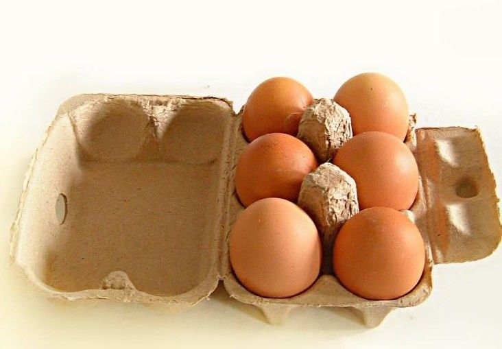 Kağıt Meyve Elma Tepsisi Yapma Makinesi Yumurta Tepsisi Makinesi Yumurta Karton Yapma Makinesi Yaşam boyu bakımlı Pulp Kalıplama Makinesi