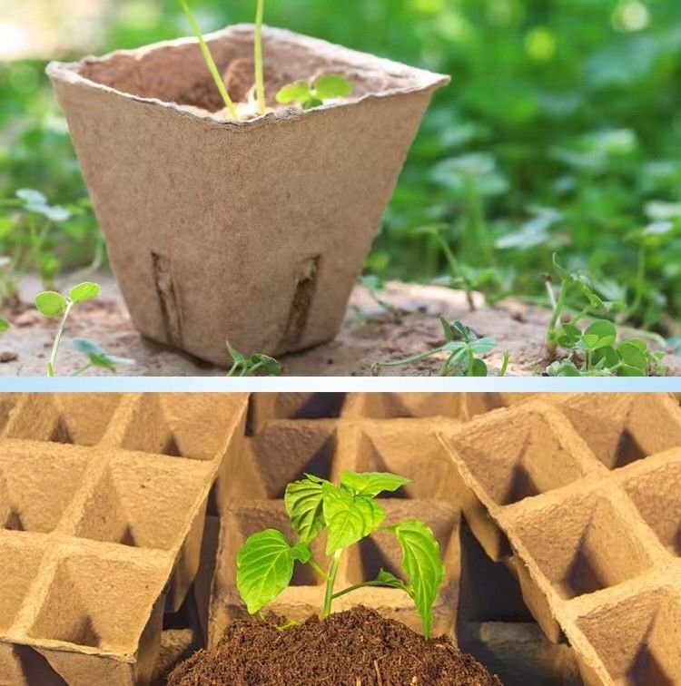 Pulp Atık Kağıt Yumurta Tepsisi Yapma Makinesi Tavuk Çiftliği için Küçük Üretim Kapasitesi