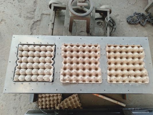 Özelleştirilmiş Otomatik Küçük Yumurta Tepsisi Yapma Makinesi 7.5KW Vakum Pompası Düşük Arıza