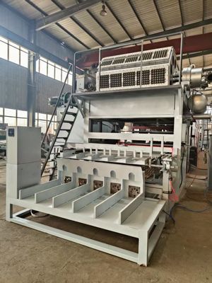 Tam otomatik 5x8 Kalıplar Kağıt Yumurta Tepsisi Makinesi 5000pcs/h