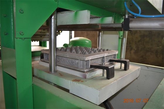 Özel Renkli Atık Kağıt Yumurta Tepsisi Makinesi 350 Pcs/h Paslanmaz Çelik Malzeme