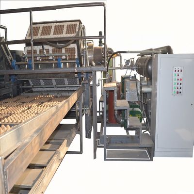 3000pcs/h Geri dönüştürülmüş Kağıt Yumurta Kutusu Yapma Makinesi Döner Tipi Yüksek Hızlı